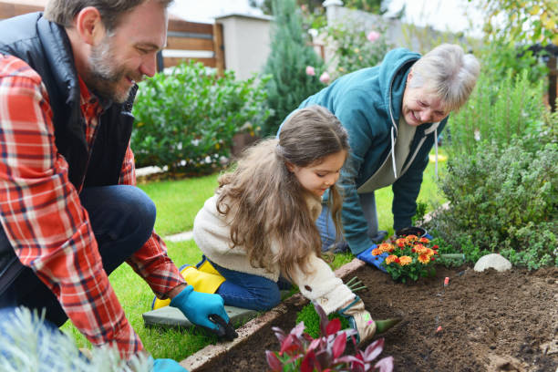 istock Family gardening together 867413114
