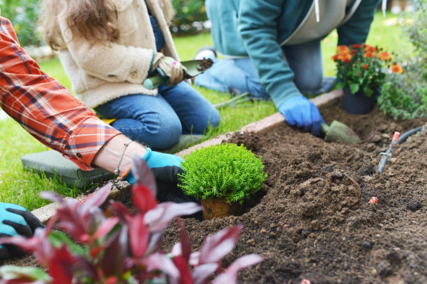 istock Family gardening together 867413132