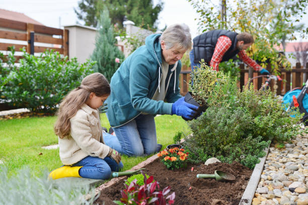 istock Family gardening together 867413686