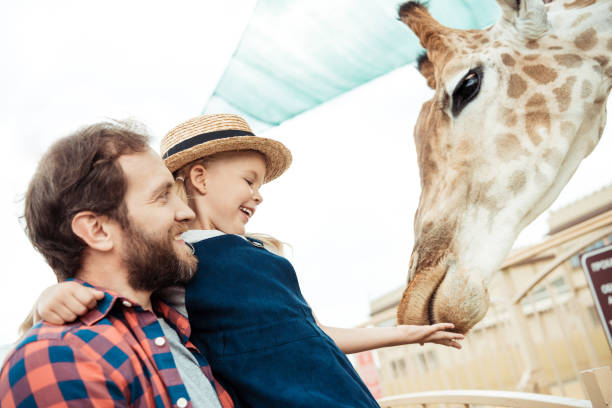 istock family feeding giraffe in zoo 867417646