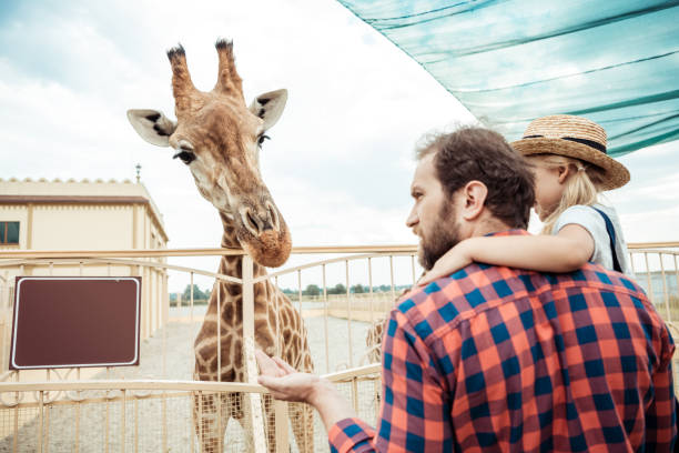 istock family looking at giraffe in zoo 867417968