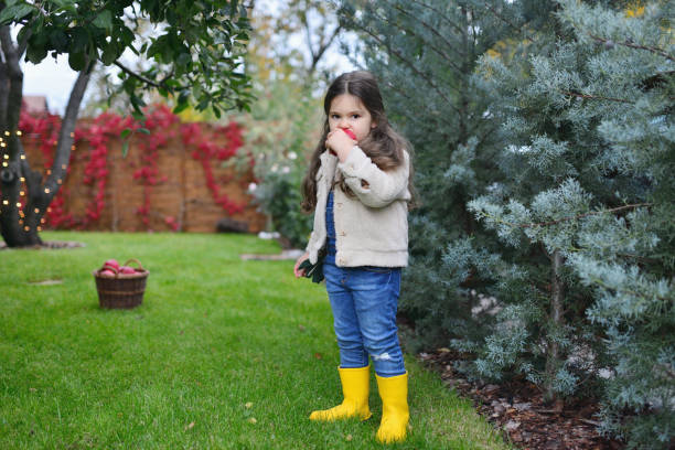 istock Young girl havesting and eating apples 867420478