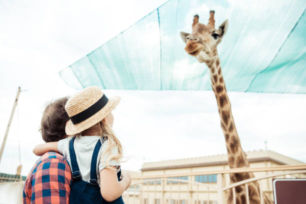 istock family looking at giraffe in zoo 867424796