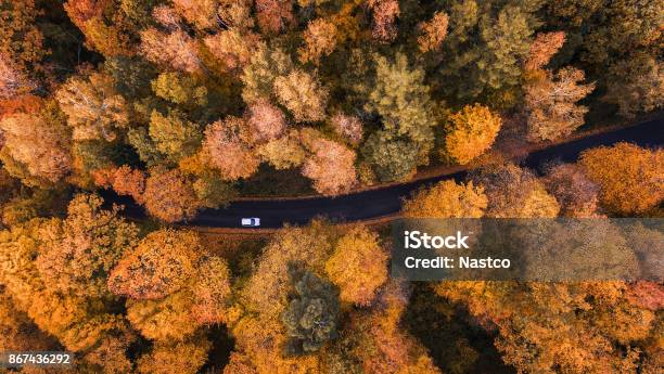 Camino A Través Del Bosque Foto de stock y más banco de imágenes de Otoño - Otoño, Coche, Vista cenital