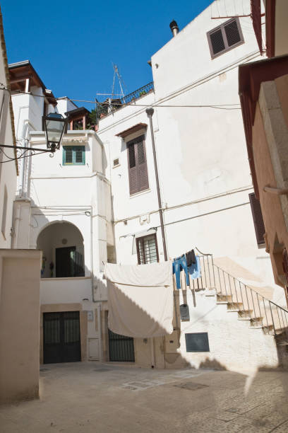 istock Alleyway. Rutigliano. Puglia. Italy. 867448588