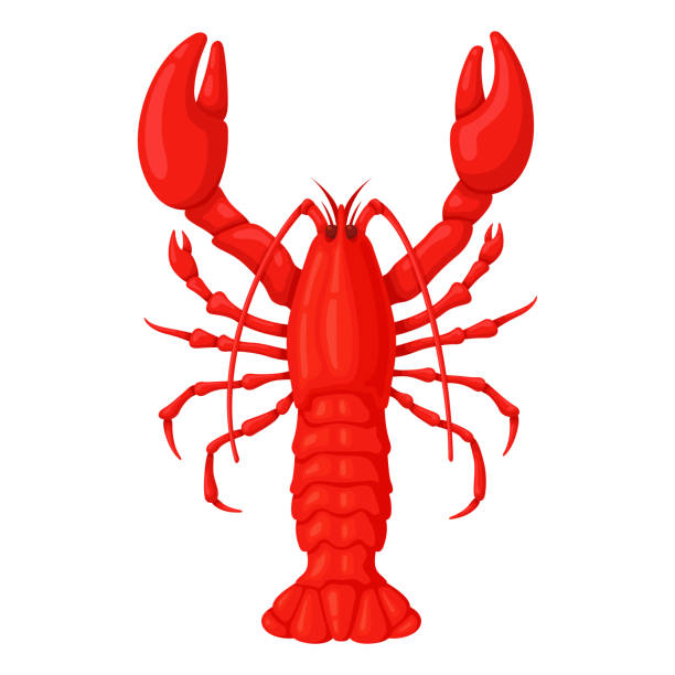 Lobster Cartoon Stock Photos, Pictures & Royalty-Free Images - iStock