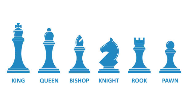 체스 조각 이름 세트 - chess leisure games chess queen skill stock illustrations