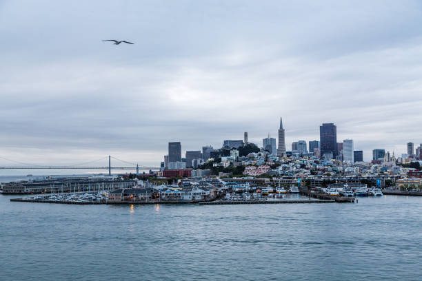 istock Gray Morning Over Bay 867459262