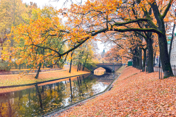 istock Autumn in central public park of Riga 867476482