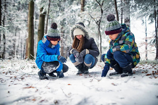 istock Three children observing tracks on snow in winter forest 867480552