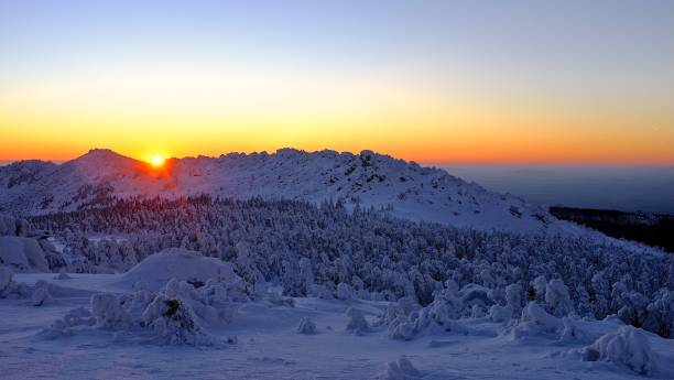 vista del atardecer con nieve un tope de pico de la montaña. panorama al aire libre de invierno forrest - confucian forest fotografías e imágenes de stock