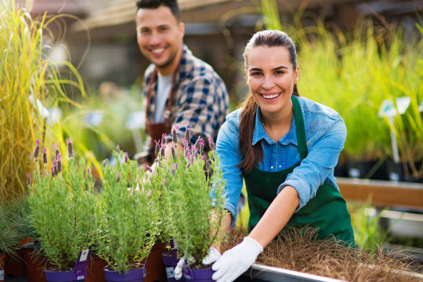 istock Garden Center Employees 867481216