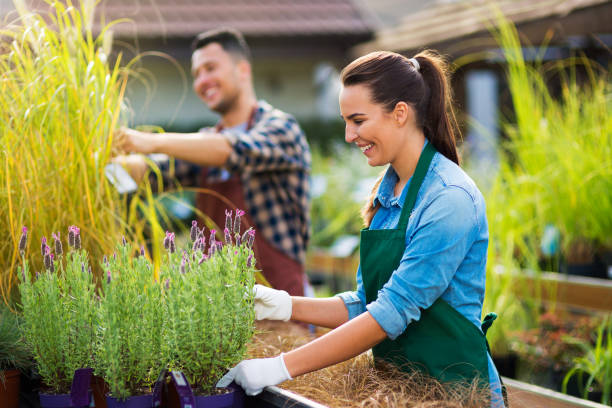 istock Garden Center Employees 867483840