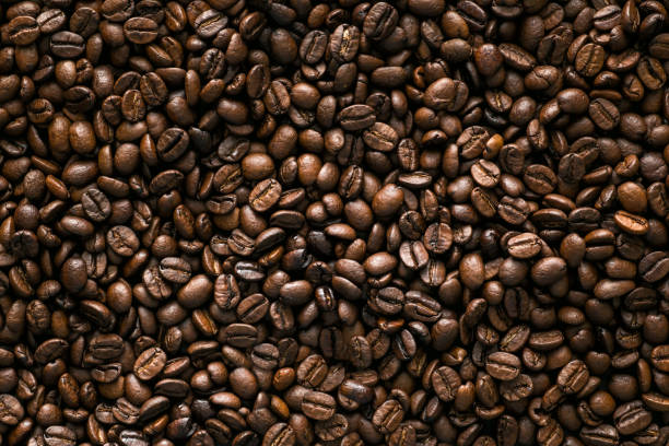 ziarna kawy - selective focus coffee coffee crop cafe zdjęcia i obrazy z banku zdjęć