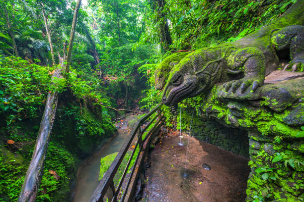 istock Giant Lizard in Sacred Monkey Forest, Ubud, Bali, Indonesia. 867487114
