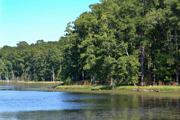istock Newport News Park 867487120