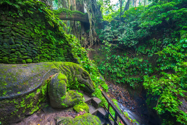 Giant Lizard in Sacred Monkey Forest, Ubud, Bali, Indonesia.