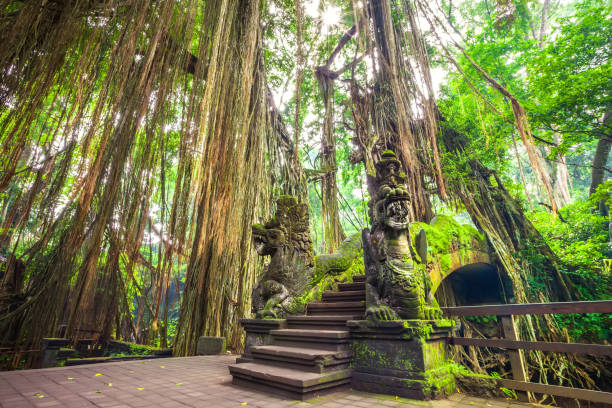 puente del dragón en el bosque de monos de ubud de bali indonesia. - bali indonesia temple travel fotografías e imágenes de stock