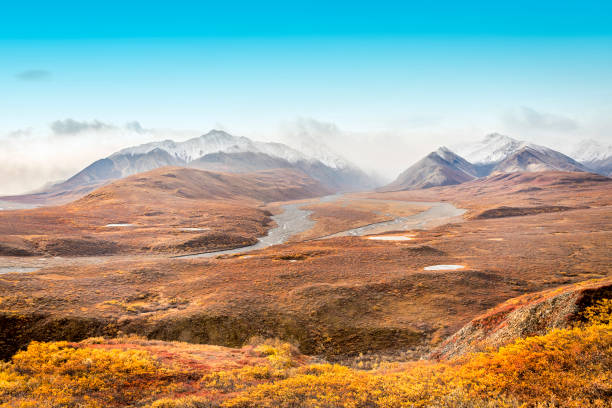 istock Mountains range in Denali National Park, Alaska 867487588