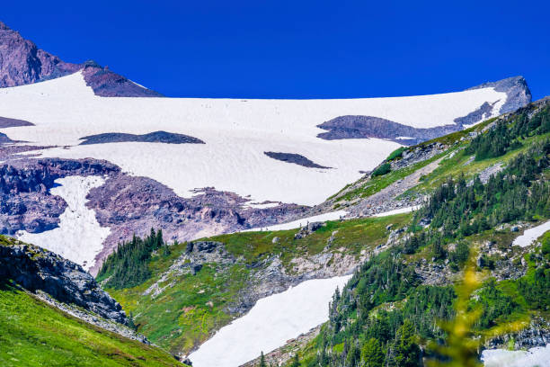 istock First Day Climbing Camp Muir Mount Rainier National Park Washington 867487604