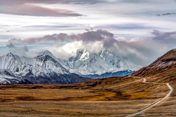 istock Mountains range in Denali National Park, Alaska 867488228
