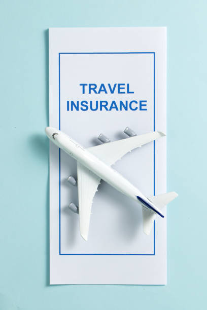istock Travel insurance brochure 867491452