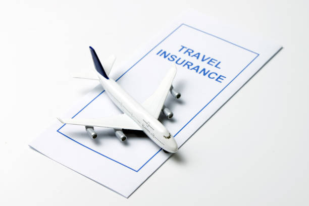 istock Travel insurance brochure 867491542