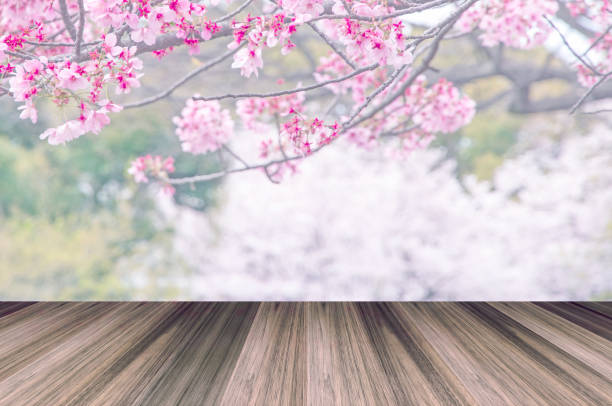 istock Design art of pink full bloom sakura and frame 867491948