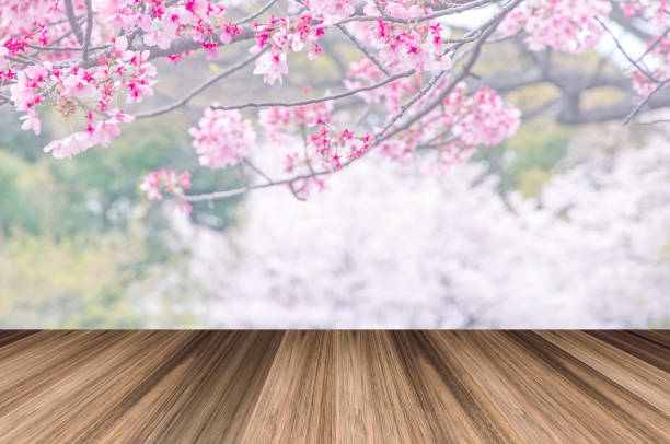 istock wooden table and blurred pink full bloom Cherry blossom 867492124