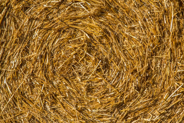 istock Abstract close up of a hay Bale. 867492782