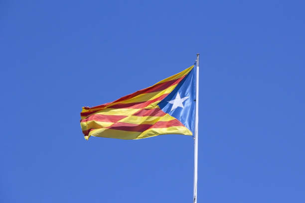 istock Catalan flag on the wind in blue sky 867499100
