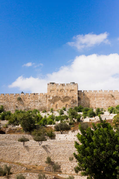 ゴールデン ゲート、または慈悲をイスラエルのエルサレムの古代の旧市街の城壁の門 - the western wall wall east city ストックフォトと画像