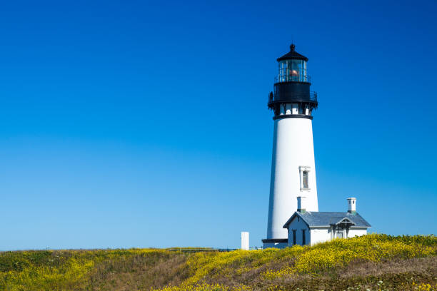 istock Yaquina Head Lighthouse, Oregon, USA 867502022