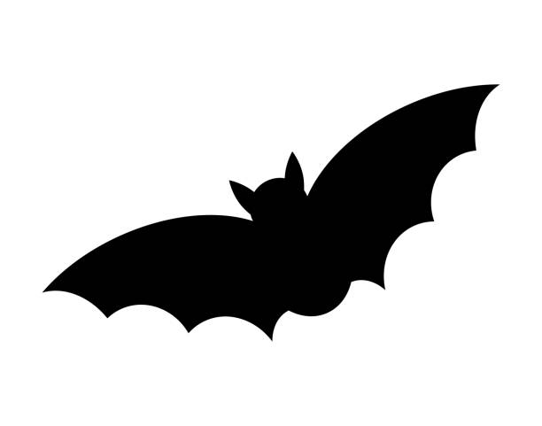 хэллоуин летучая мышь силуэт вектор дизайн изолированы на белом фоне - bat stock illustrations