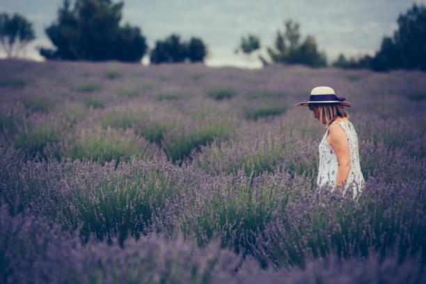 istock Senior woman in fields of lavander 867509784