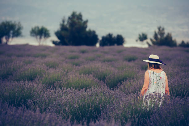 istock Senior woman in fields of lavander 867509788
