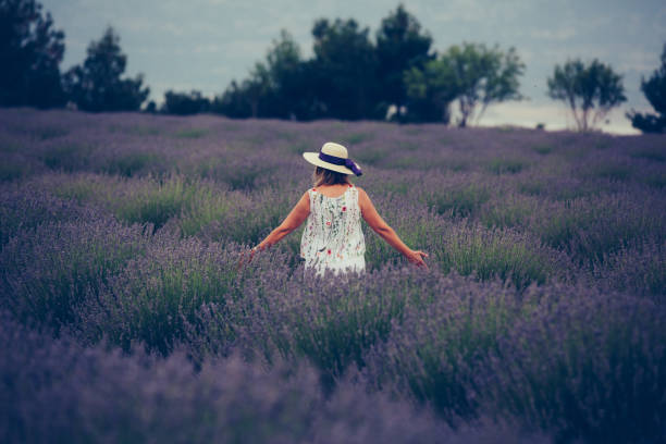 istock Senior woman in fields of lavander 867509802