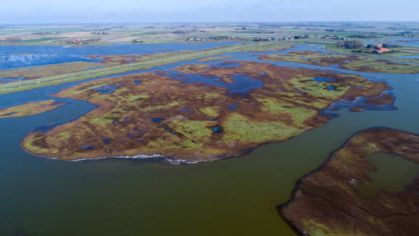sal marsh - netherlands dyke polder aerial view fotografías e imágenes de stock