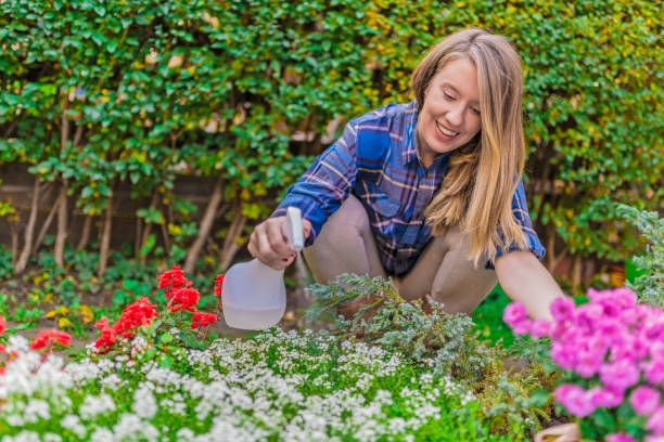 istock Female gardener watering plants in garden 867513832