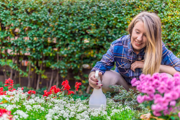 istock Gardening and Refreshing plants 867514212