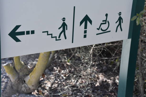 istock A path for pedestrians and disabled people 867520540