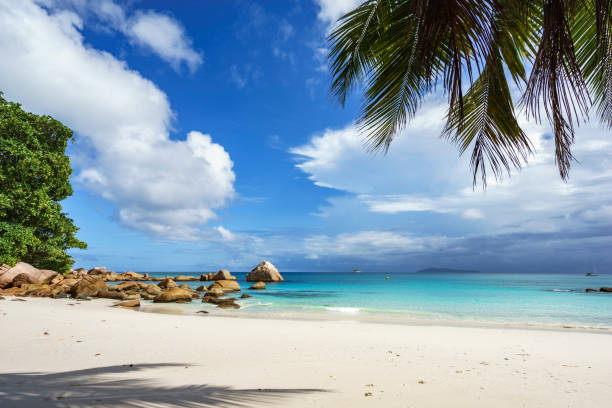 istock stunning paradise beach at anse lazio, praslin, seychelles 99 867520834