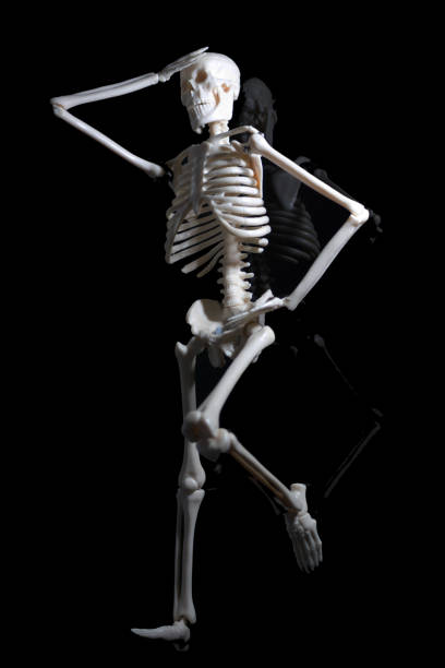 istock The worried skeleton laying on the black reflection plate 867531134