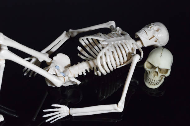 istock The skeleton laying with two's knees up on the black reflection plate 867534654