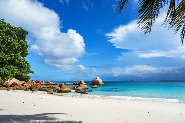 istock stunning paradise beach at anse lazio, praslin, seychelles 95 867541138