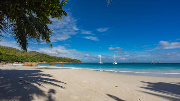 istock Catamarans at anse lazio on the seychelles 16 867544288