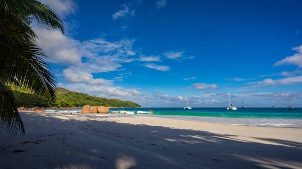 istock Catamarans at anse lazio on the seychelles 21 867557446
