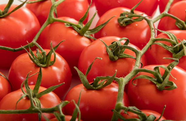 istock photo of very fresh tomatoes presented on white background 867557590