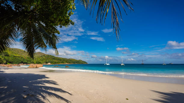 istock Catamarans at anse lazio on the seychelles 18 867559968