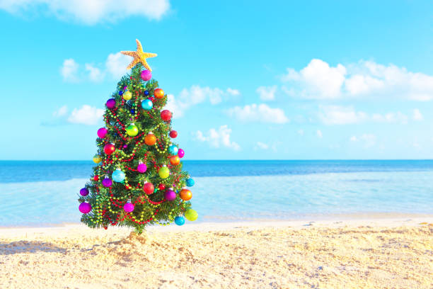 istock Christmas Tree on Tropical Beach of Cancun Mexico 867565864